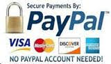 Secure Payments By PayPal